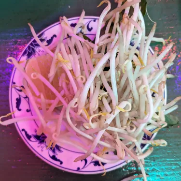 A plate of herbs used to top beef noodle soup