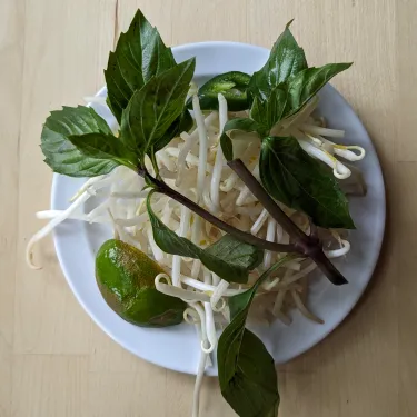 A plate of herbs used to top beef noodle soup