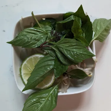 A plate of herbs used to top beef noodle soup